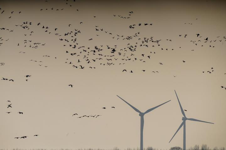 为风电轴承行业提供了强有力的政策支持